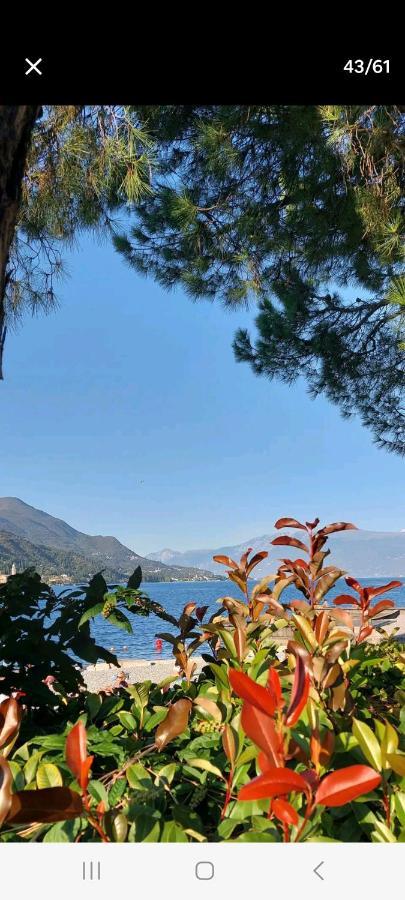 Antica Dimora Apartment San Felice del Benaco Bagian luar foto