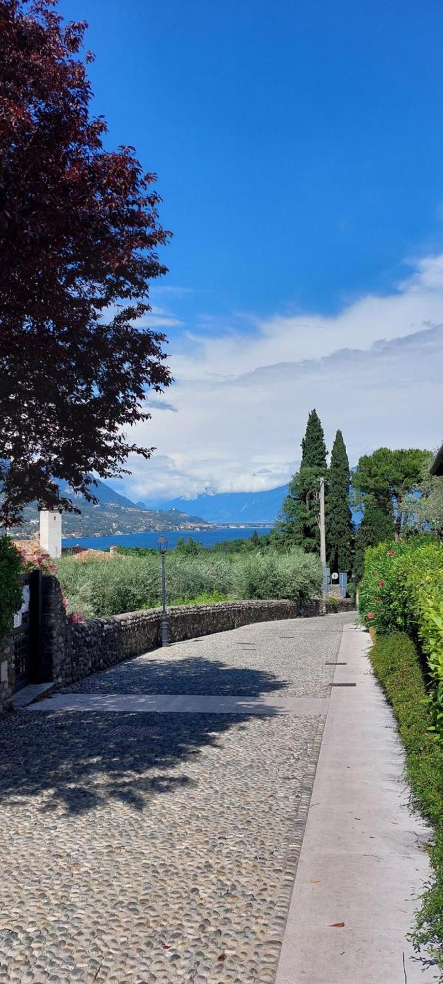 Antica Dimora Apartment San Felice del Benaco Bagian luar foto